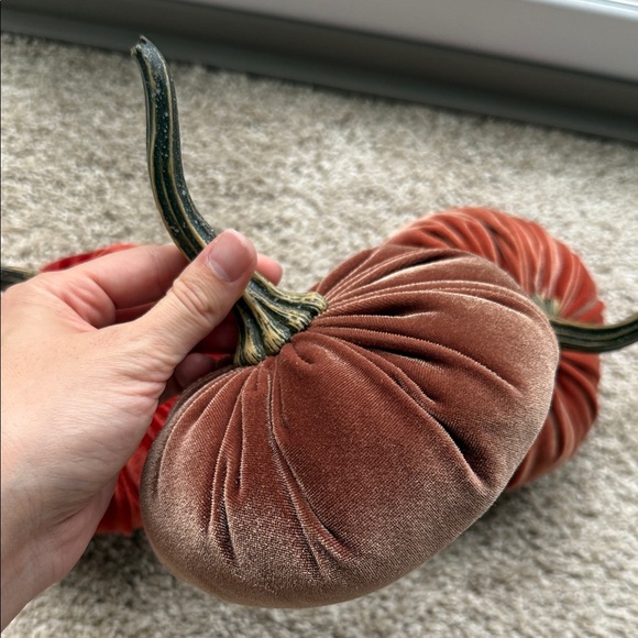Velvet Pumpkin Decor Set - Picture 4 of 6